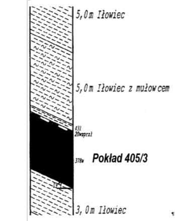 R.BOBEK i in. - Doświadczenia ze stosowania obudów podporowych i podporowo... Tabela 2.