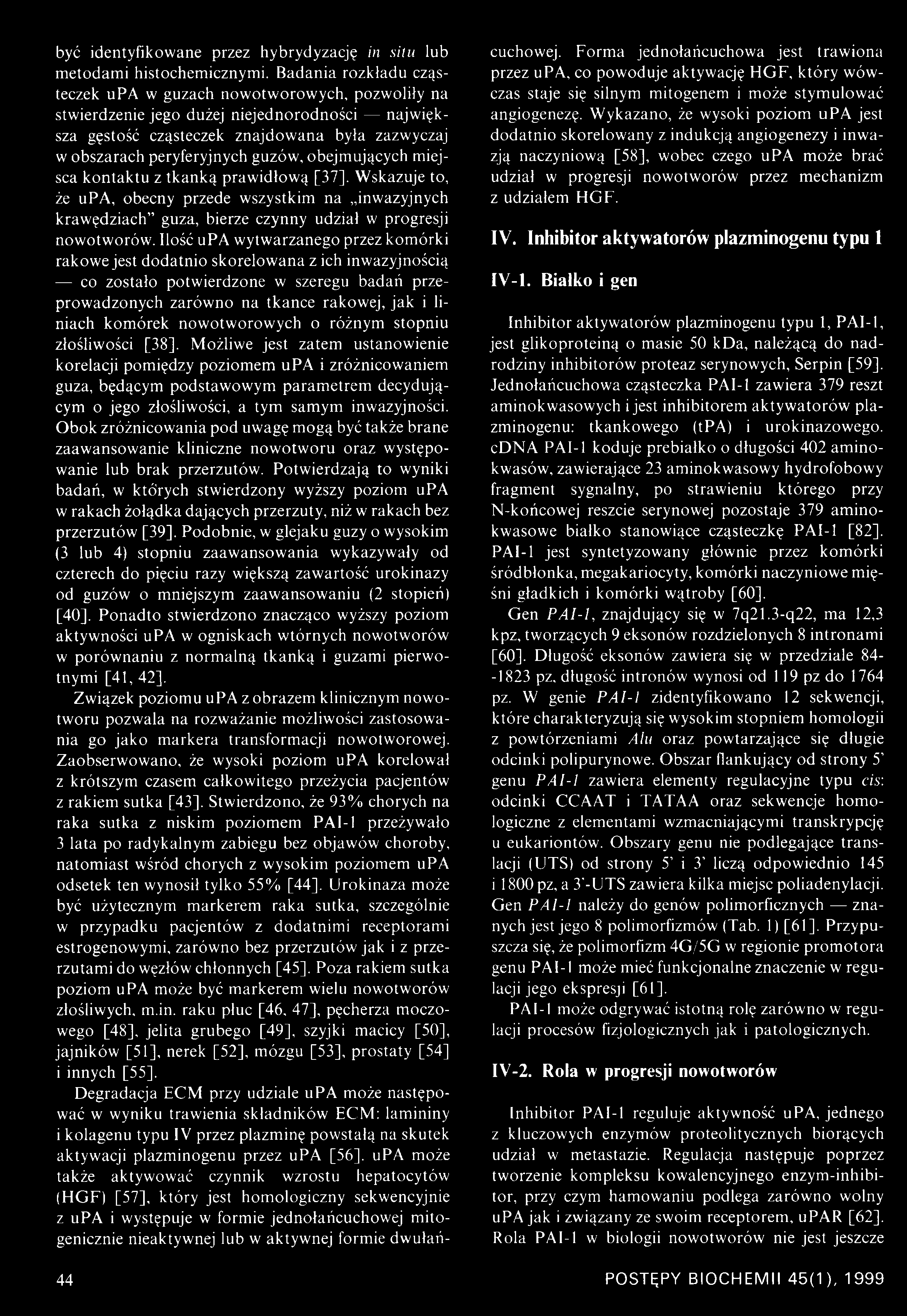 obejmujących miejsca kontaktu z tkanką prawidłową [37], Wskazuje to, że upa, obecny przede wszystkim na inwazyjnych krawędziach guza, bierze czynny udział w progresji nowotworów.