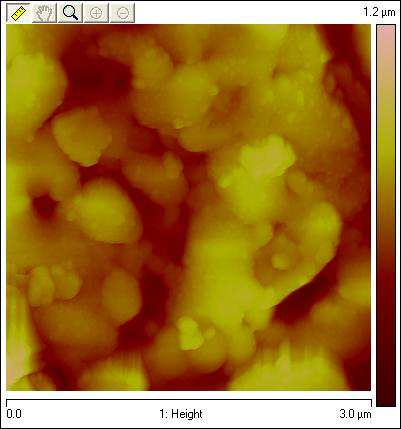 Name biała 085 Value Results Image Surface Area 15.6 µm Image Projected Surface Area 9.00 µm Image Surface Area Difference 73.