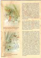 Wykonano foldery promujące Szlak Polichromii Średniowiecznych 1.250 szt.