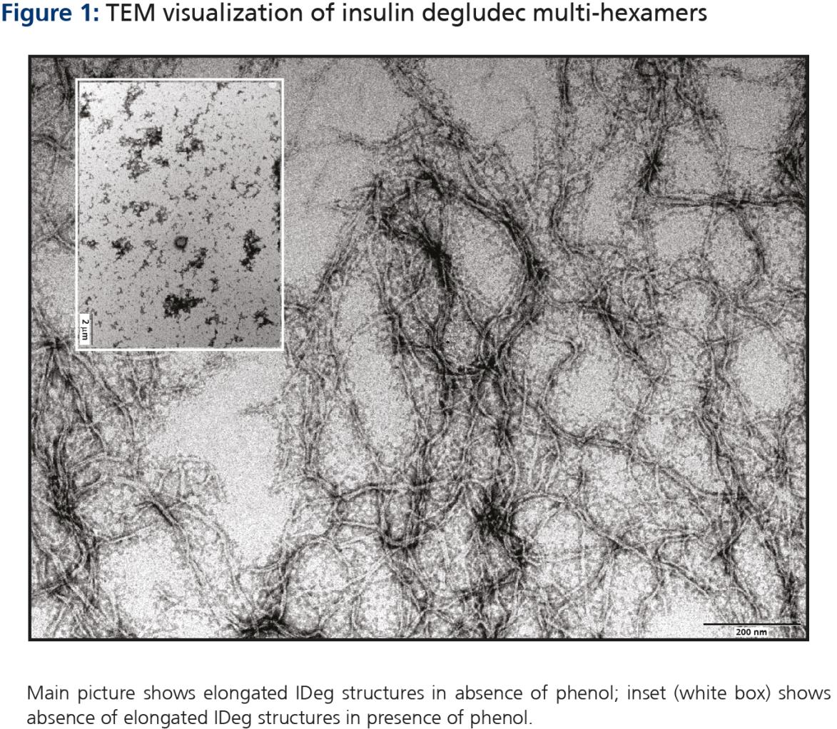 obrazie transmisyjnej mikroskopii elektronowej (TEM - transmission electron Di-hexamery insuliny Degludec w obecności fenolu