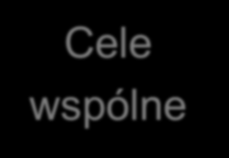 SMART CEL to precyzyjnie określony stan do którego dążymy S M Specyficzne (ang. Specific). wyróżniające się, dokładnie określone (ang. Specific). Każda osoba znająca daną tematykę musi dokładnie rozumieć o co chodzi.