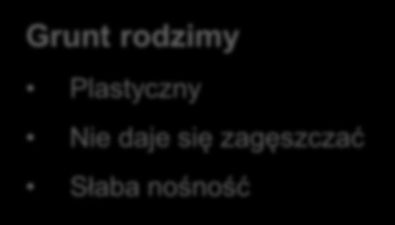 Grunt rodzimy Plastyczny