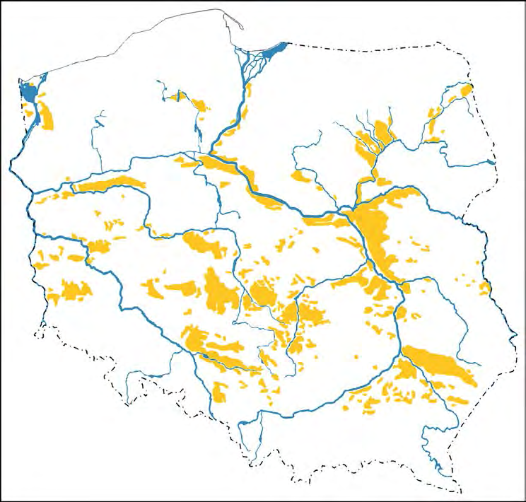 PSAMMOFILNE SKOCZOGONKI (COLLEMBOLA) NOWE DLA FAUNY POLSKI 7 murawy możemy spotkać praktycznie we wszystkich częściach kraju, gdzie dochodzi do odsłonięcia piaszczystego podłoża na skutek rozmaitych