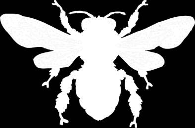 Poza muchą do tej grupy należą m.in. komary i udające osy bzygi. Modliszki Są to bardzo ciekawe owady. W Polsce występuje tylko jeden gatunek z tego rzędu.