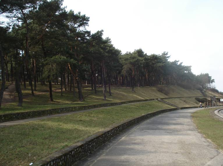 W pierwszym przypadku największe znaczenie ma Park Miejski wraz z przyległym nadbrzeżem Wisły.