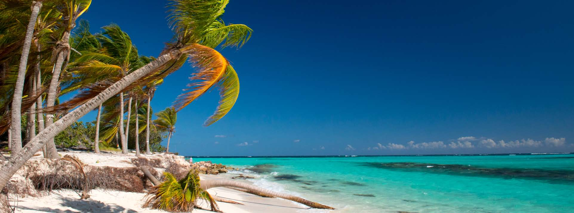 ogólne informacje na temat anguilli Anguilla to brytyjskie terytorium zamorskie leżące na Karaibach; jedna z najbardziej na północ wysuniętych wysp archipelagu Wysp Nawietrznych w Antylach Mniejszych.