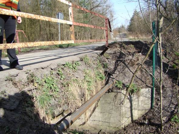 Wegetacja roślinności, brak umocnienia skarp.