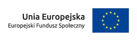 944,96 zł koszty bezpośrednie: 4 337