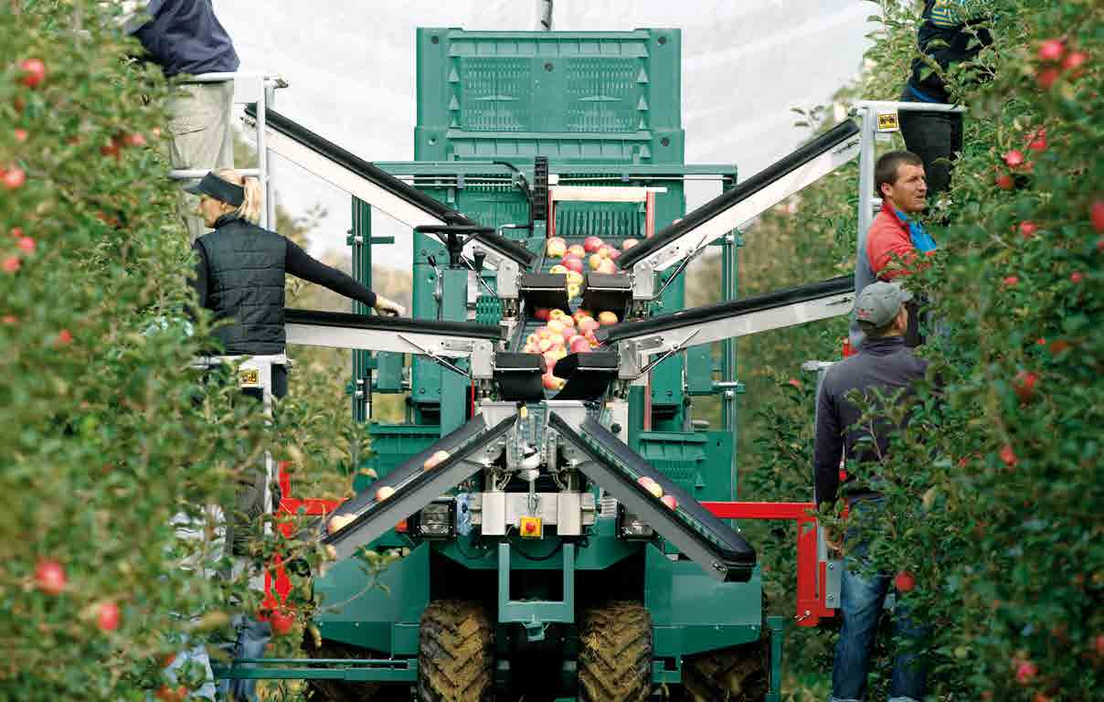 Efficiency, productivity, quality Wydajność, produktywność, jakość Quality Harvesting with machines of the TECNOFRUIT series will result in a supreme quality of the picked fruit in comparison with