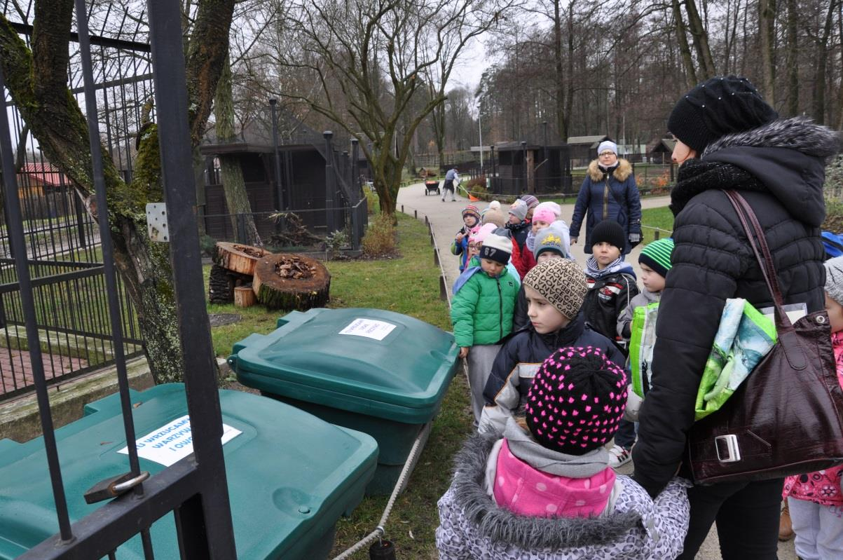 żołędzie dla zwierząt z Akcentu Zoo.