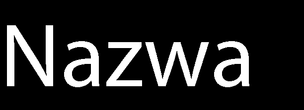 Obserwacja obrazów z kamer Rejestratory sieciowe NOVUS posiadają wielopoziomowe menu