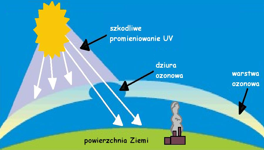 Skutki zanieczyszczeń powietrza - Dziura ozonowa Zjawisko zmniejszenia zawartości ozonu (O 3 ) w stratosferze - drugiej W wyniku tego zjawiska na powierzchnię Ziemi przedostają się szkodliwe