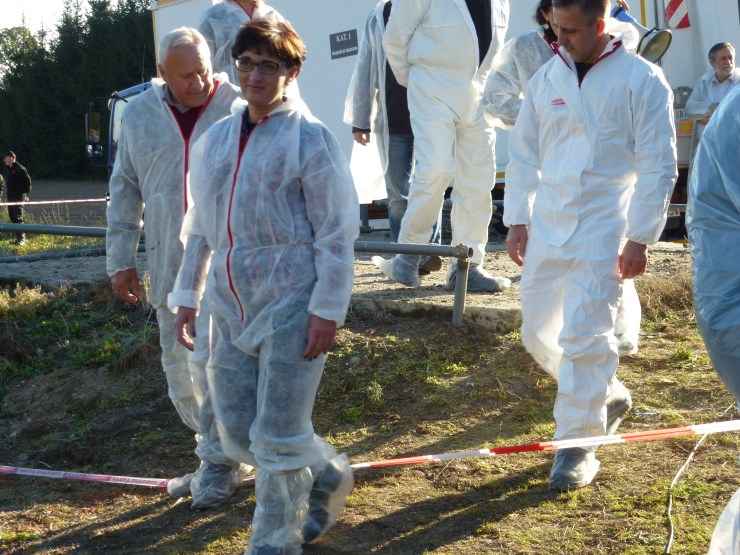 grypy ptaków na terenie powiatu gorzowskiego 1 października 2015 r.