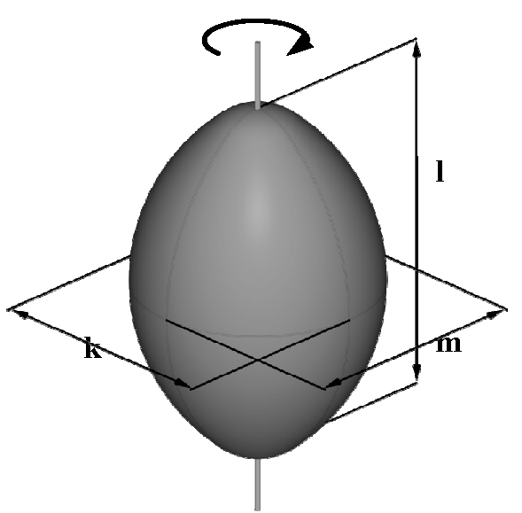 Wybrane właściwości fizyczne... Rys. 1. Oznaczenia wymiarów ziarna orkiszu wg Doneva za Wróblem [26] Fig. 1. Marking of spelt dimensions acc.