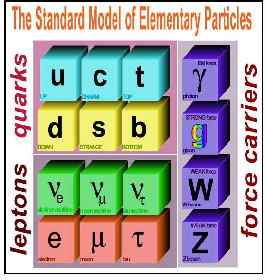 Model Standardowy : 3 rodziny kwarków i leptonów o spinie ½ Rodziny leptonowe : naładowany ( e,µ,τ ) i neutralny lepton ( ν e, ν µ, ν τ ) Neutralne leptony neutrina i antyneutrina : oddziałują tylko