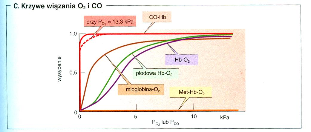 O2 i CO2