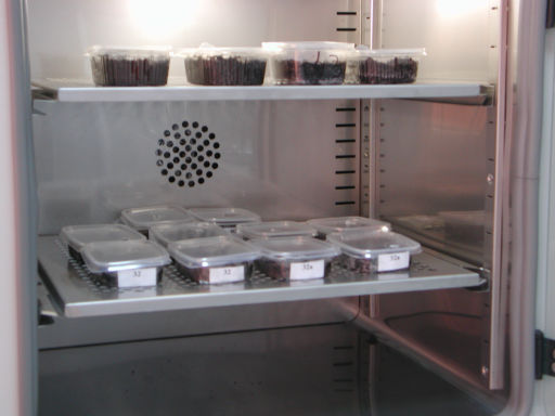 Fot.8. Stratyfikacja nasion w inkubatorze ES 110 firmy NÜVE Fot. 9.