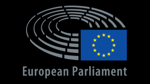 art. 14 TUE PARLAMENT EUROPEJSKI SKŁAD GRUPY POLITYCZNE