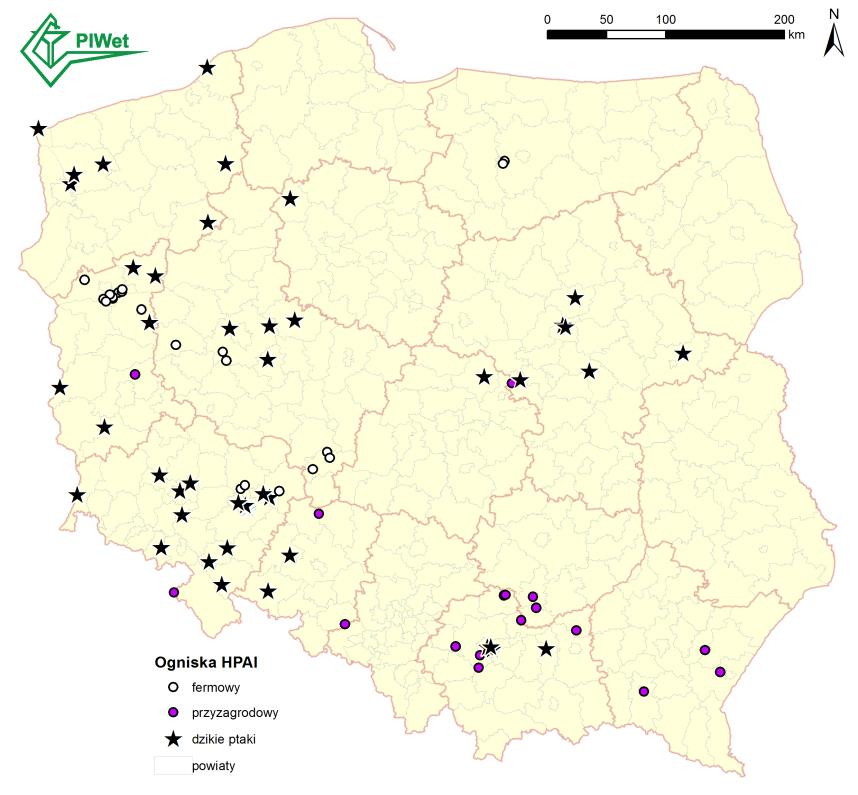 H5N8 u dzikich ptaków wskazuje, że wirus charakteryzuje się szerszym spektrum wrażliwych gatunków niż wirus HPAI H5N8, który pojawił się w Europie w 2014/2015 roku.