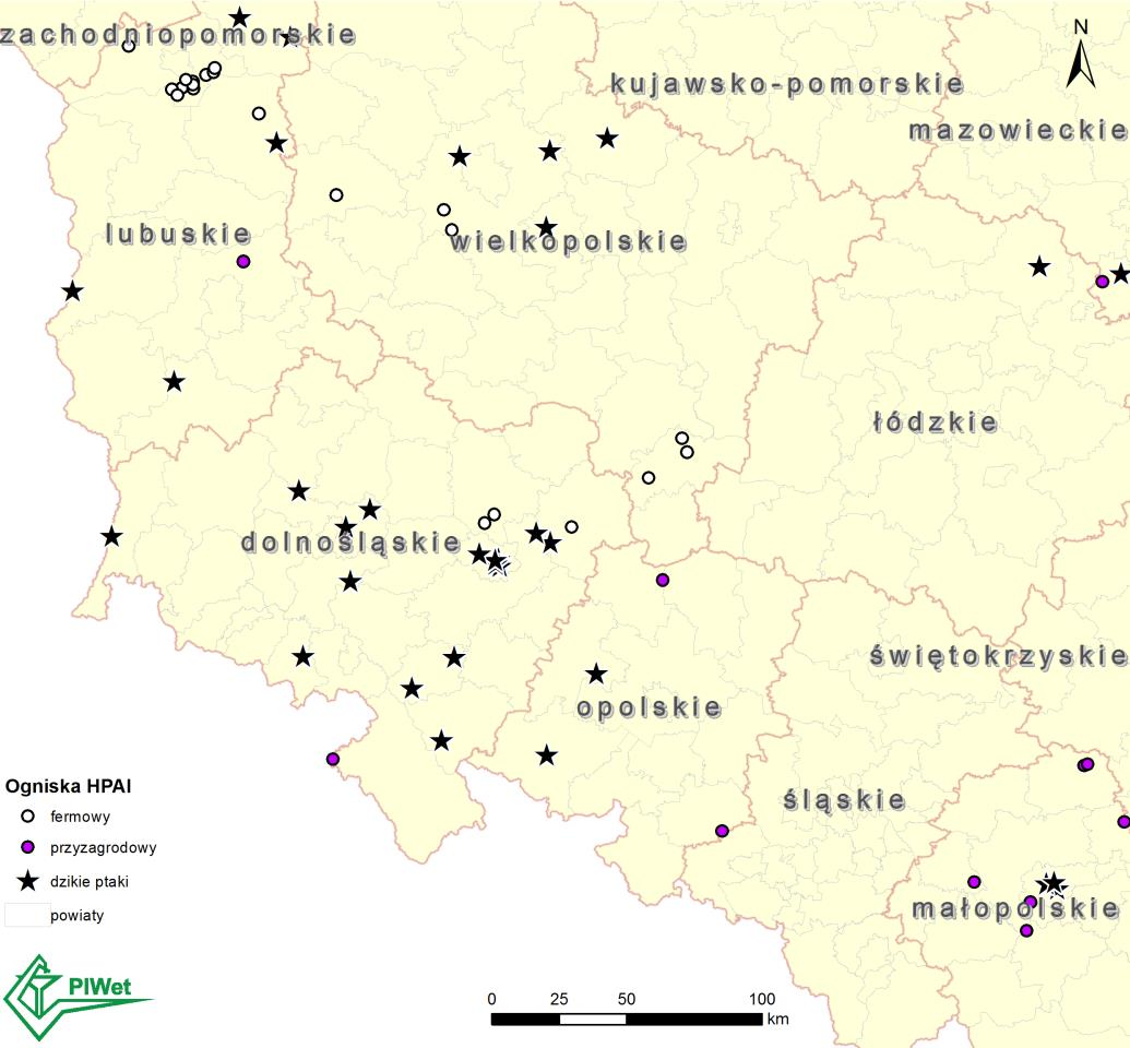 Objawy kliniczne u drobiu obejmują spadek pobierania paszy i wody, duszność, apatię, zapalenie spojówek, niekiedy objawy nerwowe i zwiększoną śmiertelność.