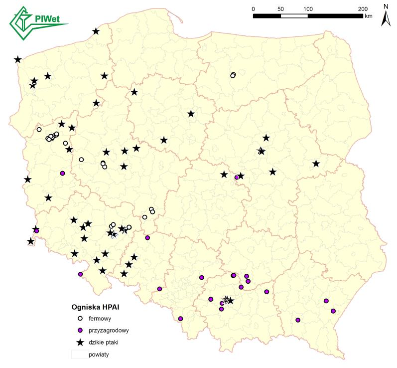 Warto podkreślić, że oprócz zakażeń wirusem H5N8, w 6 państwach (Holandia, Niemcy, Chorwacja, Czarnogóra, Włochy, a ostatnio Polska) wykryto u dzikich ptaków (w Niemczech również u drobiu) obecność