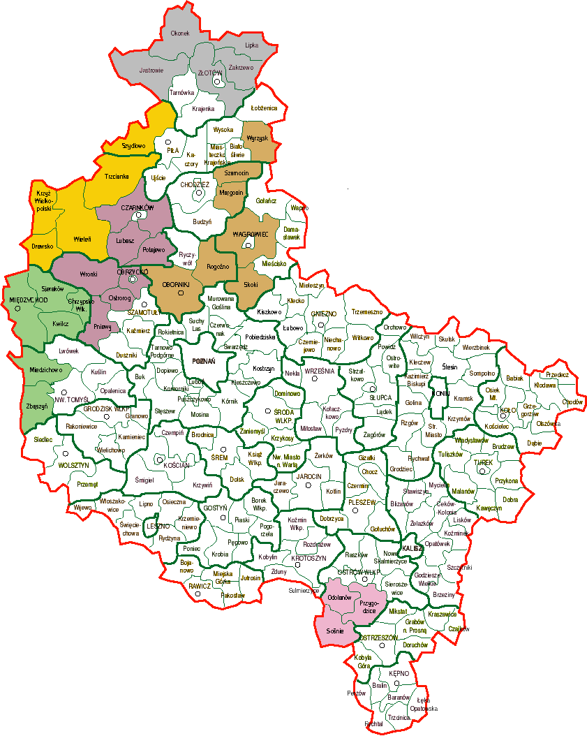 Mapa stowarzyszeń w Wielkopolsce: Stowarzyszenia wybrane w I konkursie (październik 2010 r.