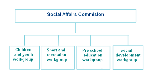Komisja spraw społecznych nadzoruje pracę i zwołuje spotkania grupy roboczej odpowiedzialnej już bezpośrednio za prace związane z koordynacją wspólnych działań samorządów lokalnych na rzecz