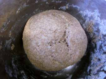 20 POSTĘPY TECHNIKI PRZETWÓRSTWA SPOŻYWCZEGO 2/2016 Chleb razowy składniki potrzebne do wypieku chleba razowego: 115g mąki pszennej typ 750, 225g mąki razowej chlebowej, 6g soli, 3g cukru, 10g