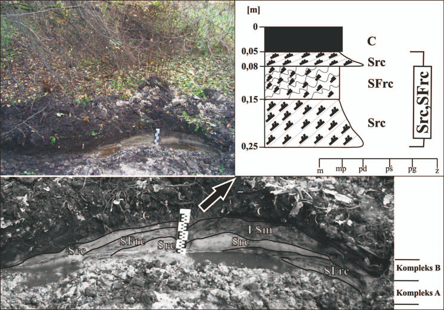 Zmiany układu koryta Chodelki koło Chodlika w późnym vistulianie i holocenie 117 subkompleks A 3 stanowią piaski poziomo laminowane (litofacja Sh), piaski mułowe o laminacji poziomej (litofacja SFh)
