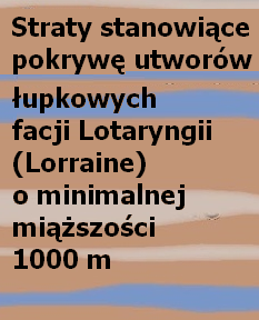 Rzeczywistość jest dużo bardziej skomplikowana Pokrywa