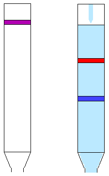 Gdy rozdzielamy mieszaninę związków bezbarwnych Chromatografia podziałowa Układ chromatograficzny w chromatografii podziałowej: Faza stacjonarna ciecz osadzona na nieaktywnym nośniku Faza ruchoma