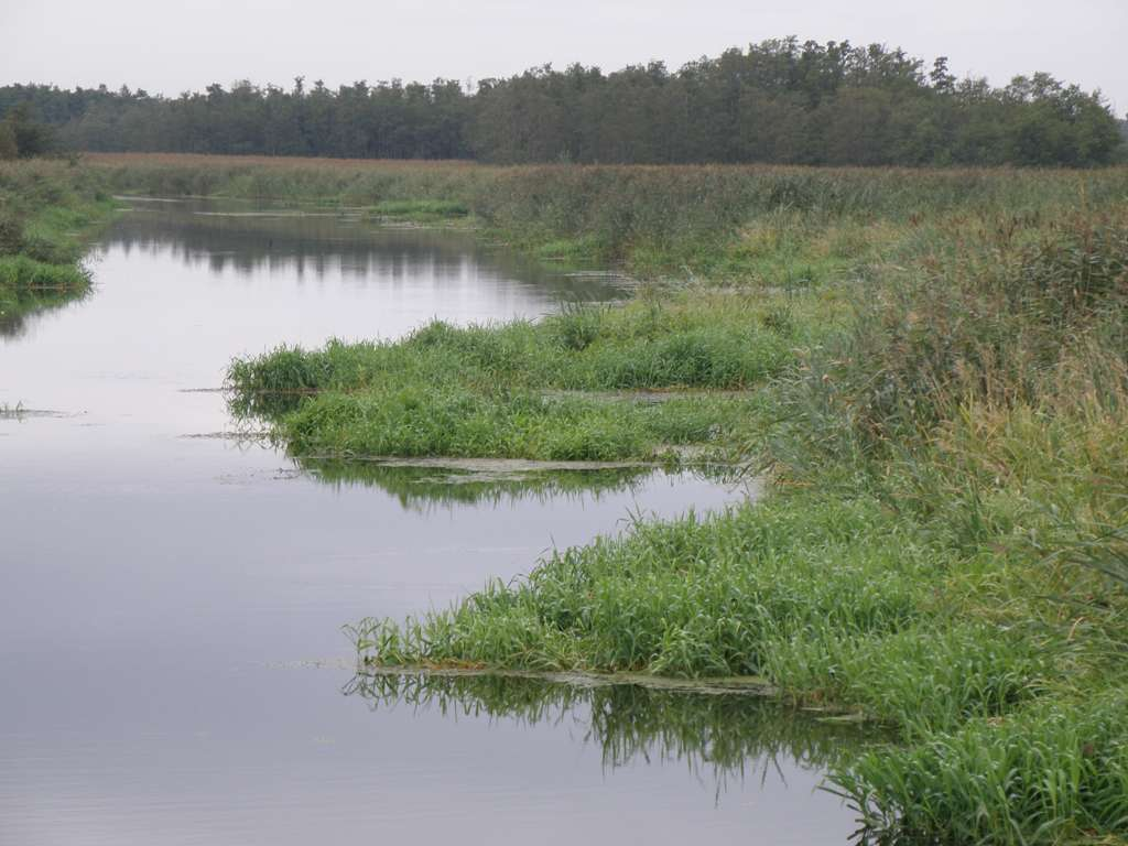 Stacje pomp W stacjach pomp przeprowadza się zgodnie z ustalonym harmonogramem generalne remonty agregatów pompowych (wymiana wirników, tulei, wałów, łożysk, przewijanie silników) a także