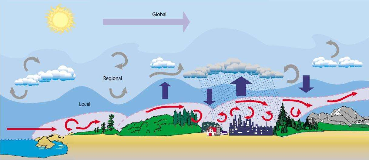 Makroklimat, mezoklimat (klimat lokalny), topoklimat (miejscowy), mikroklimat źródło: