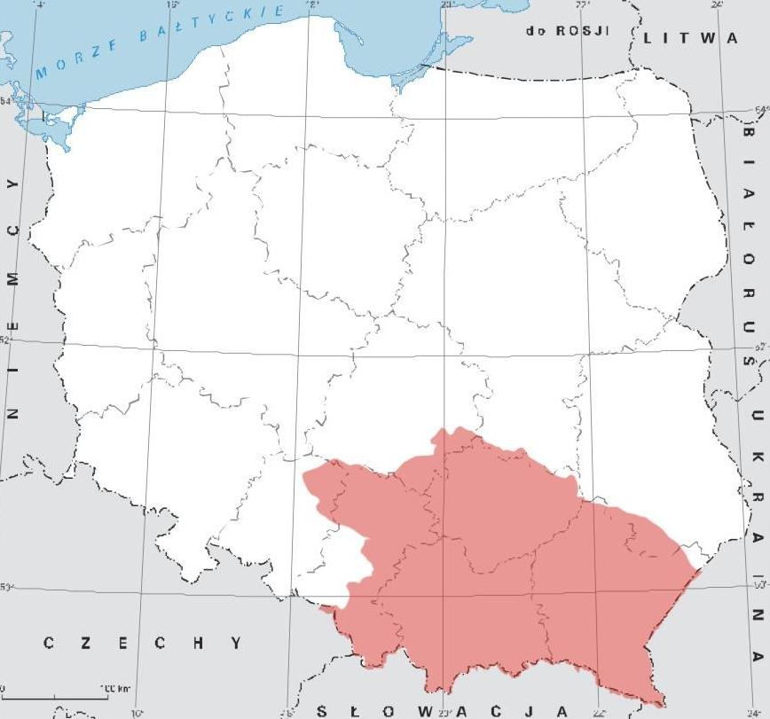 Rzadkie ptaki Małopolski Zapraszamy do nadsyłania swoich obserwacji rzadkości, stwierdzonych na terenie Małopolski w okresie 15.11.2015 15.11.2016.