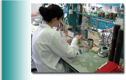 (http://zgb.biol.uw.edu.pl/) Studia licencjackie i magisterskie w ZGB W Zakładzie Genetyki Bakterii możliwe jest wykonywanie prac licencjackich eksperymentalnych bądź teoretycznych.