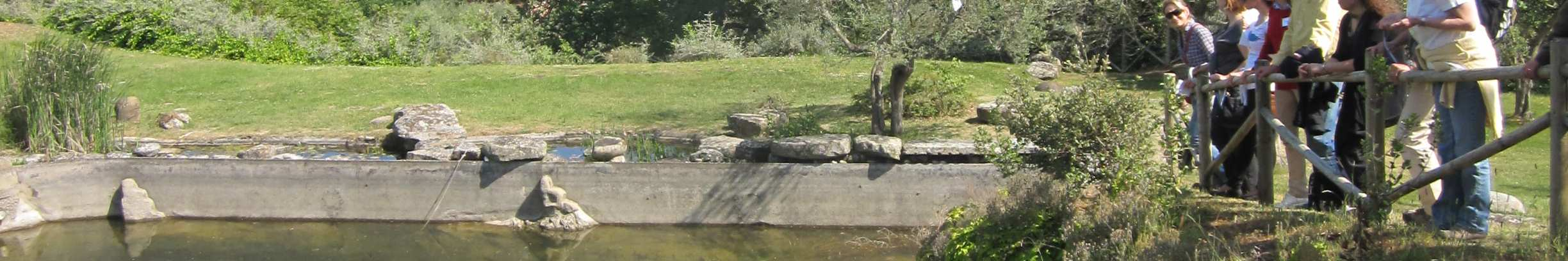 Ponadto odwiedzono położone w górach parki - Park Regionalny Subasio oraz Park Narodowy Gór Sybilińskich, a także Regionalny Park