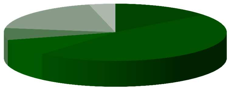 70% 60% 50% 40% 30% 20% 10% 0% struktura przychodów ze sprzedaży przychody 1-4Q 2012: 2,02 mld zł; core business: 1,56 mld zł według segmentów core business: podział geograficzny handel energią i