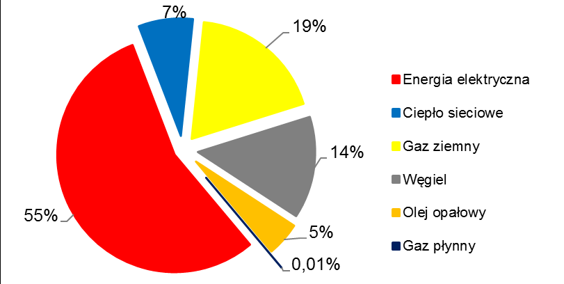 przeważa gaz ziemny (37%), następnie energia elektryczna (29%) oraz węgiel (18%). W przypadku emisji CO 2 zdecydowanie dominuje energia elektryczna, która odpowiada za ok.