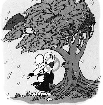 Podczas burzy lub wichury nie szukaj schronienia pod wysokimi drzewami, zwłaszcza tymi rosnącymi w odosobnieniu, czy na wzniesieniach, poniewaŝ spadające gałęzie lub wyładowania atmosferyczne -