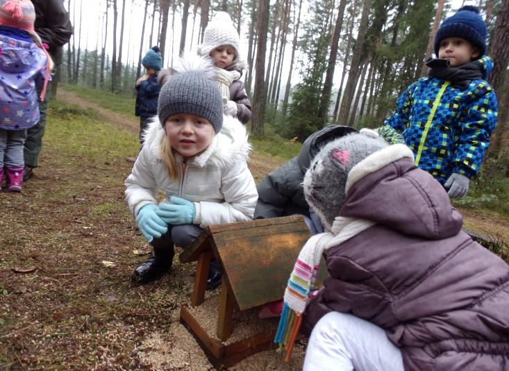 Projekt ekologiczny zrealizowany został we wszystkich oddziałach Gminnego Przedszkola w Domiechowicach (Domiechowice, Łękawa, Niedyszyna, Kurnos Drugi) i