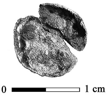 Ryc. 2. Zdjęcie RTG znaleziska z grobu nr 59, oprac. T. Kurasiński Fig. 2. X-ray photo of the fi nd from grave 59. Prepared by T. Kurasiński Ryc. 1. Lubień, pow. Piotrków Trybunalski.