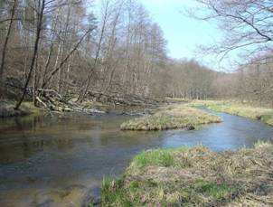 LICZBOWE WSKAŹNIKI