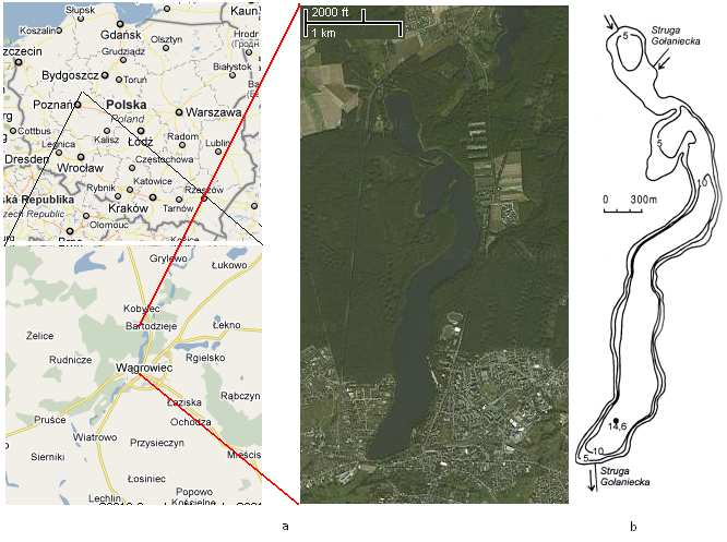 W dniach 5-10 lipca 2010 przeprowadzono szczegółowe badania roślinności Jeziora Durowskiego oraz wypływającej z niego Strugi Gołanieckiej (ryc. 1).