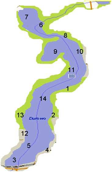 Metody Badania makrobezkręgowców bentosowych prowadzono na 14 stanowiskach, zlokalizowanych w płytkim litoralu (stanowisko 1, 2, 4, 6, 8, 11-13) oraz w głębokim profundalu (stanowiska 3, 5, 7, 9, 10