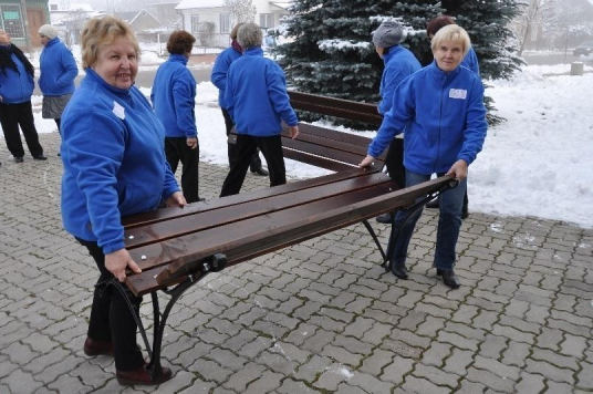 Gminną radę seniorów tworzy rada gminy z własnej inicjatywy, lub na wniosek zainteresowanych środowisk, a w jej skład mogą wchodzić przedstawiciele osób starszych i przedstawiciele lokalnych