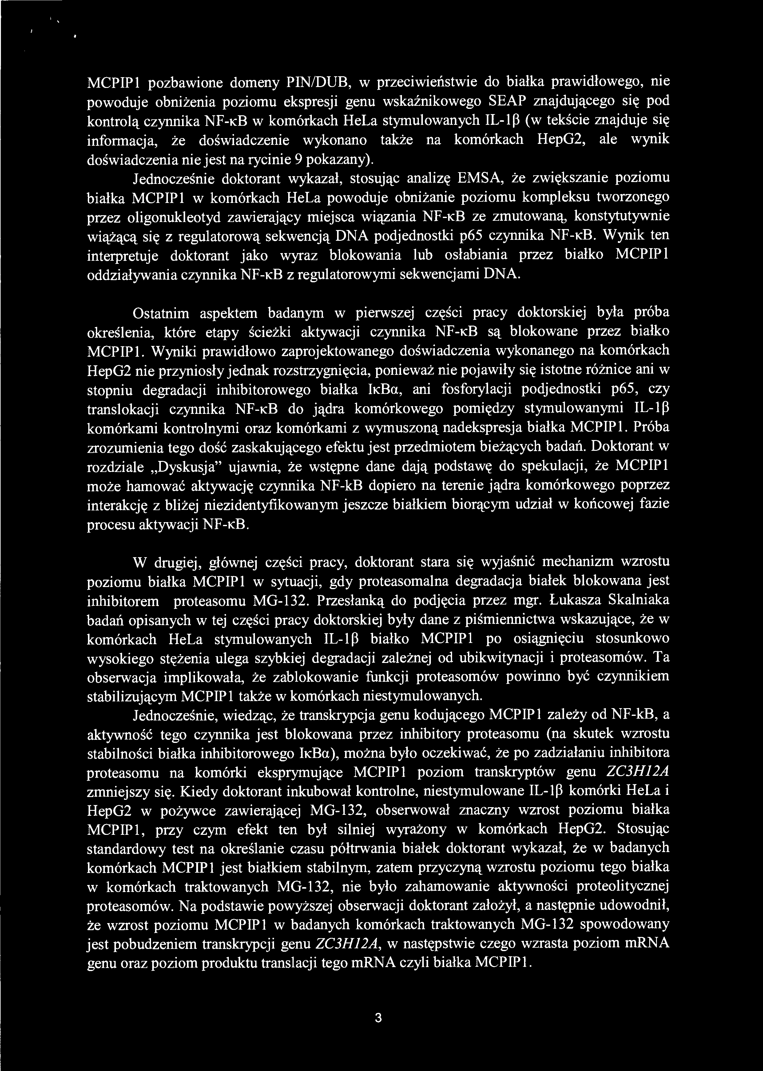 Wynik ten interpretuje doktorant jako wyraz blokowania lub osłabiania przez białko MCPIP1 oddziaływania czynnika NF-KB z regulatorowymi sekwencjami DNA.