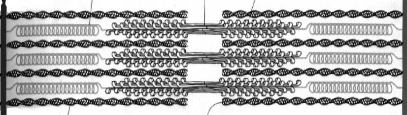 cienkich miofilamentów linia M: miomezyna, tworzy mostki łączące bocznie grube
