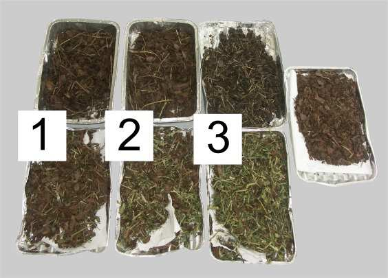 I Rys. 7. Zmiany stężenia amoniaku w komorach podczas kompostowania: K1 - kompost A; K2 - kompost B; K3 - kompost C Fig. 7. Ammonia concentration in chambers during composting process: K1 - compost A; K2 - compost B; II Rys.