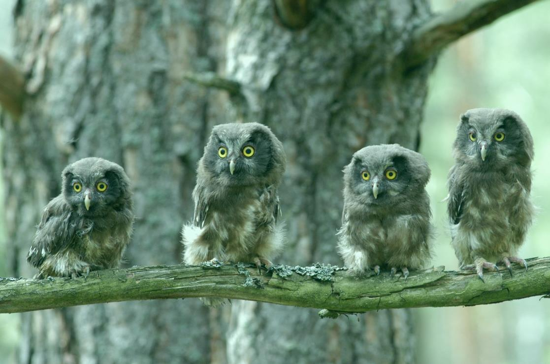 Katedra Zoologii, Ekologii